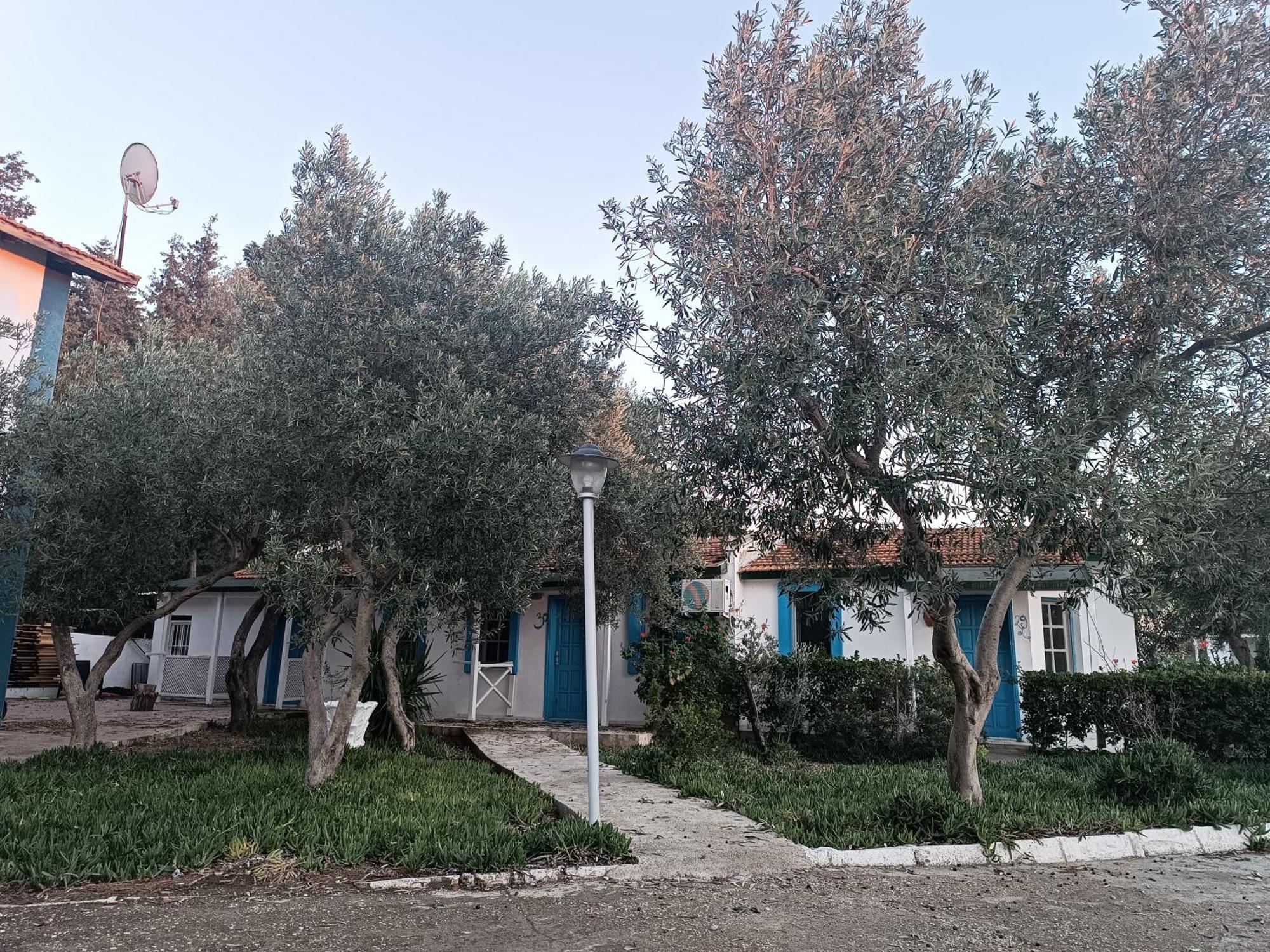 Hotel Teos Ormanci Tatil Koyu Seferihisar Esterno foto